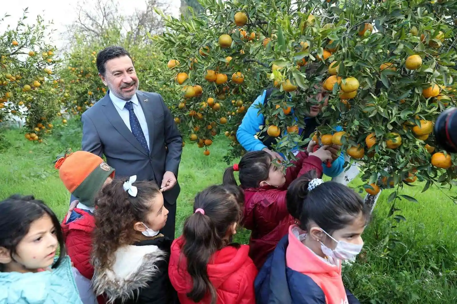 Belediye, elde kalan mandalinaları satın alacak
