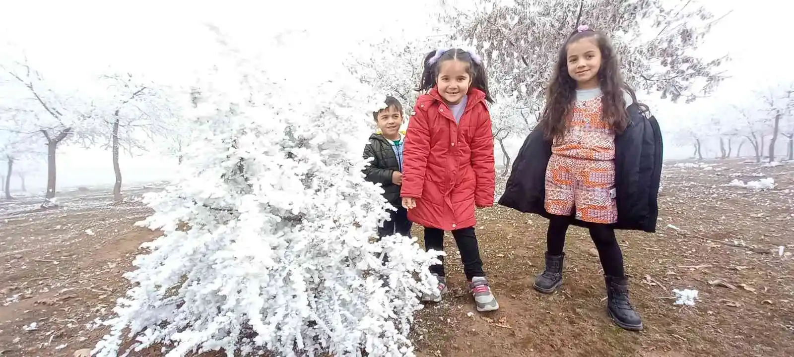 Bitlis'te kırağı tutan ağaçlar kartpostallık görüntü oluşturdu
