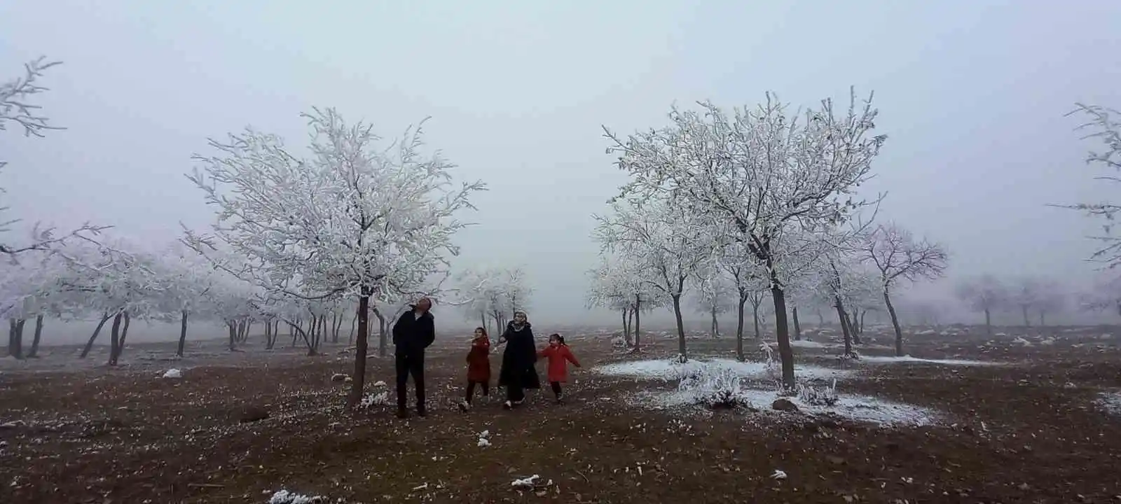 Bitlis’te kırağı tutan ağaçlar kartpostallık görüntü oluşturdu
