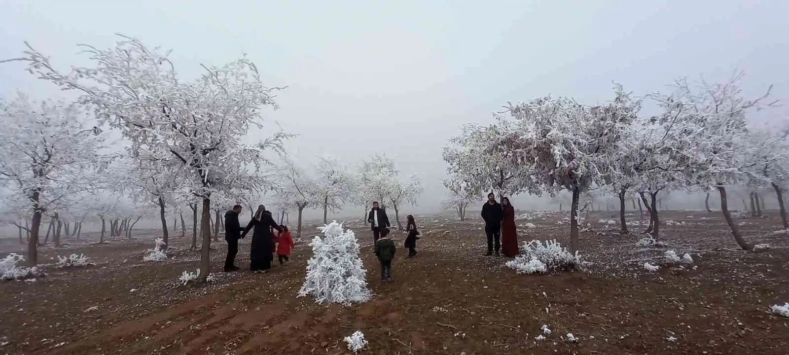 Bitlis’te kırağı tutan ağaçlar kartpostallık görüntü oluşturdu
