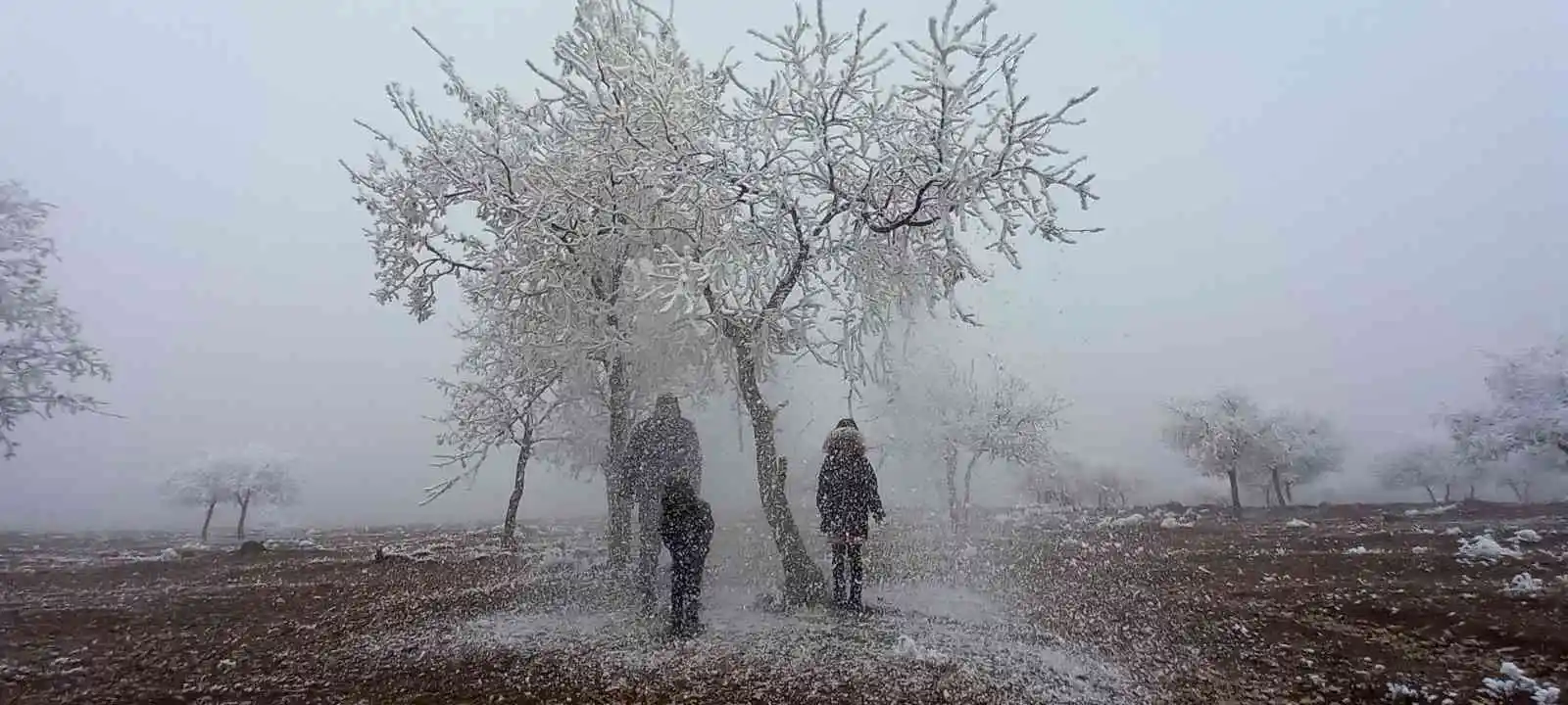 Bitlis’te kırağı tutan ağaçlar kartpostallık görüntü oluşturdu
