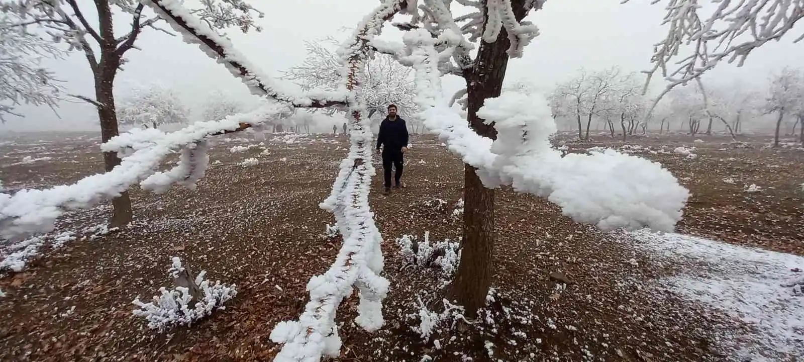 Bitlis’te kırağı tutan ağaçlar kartpostallık görüntü oluşturdu
