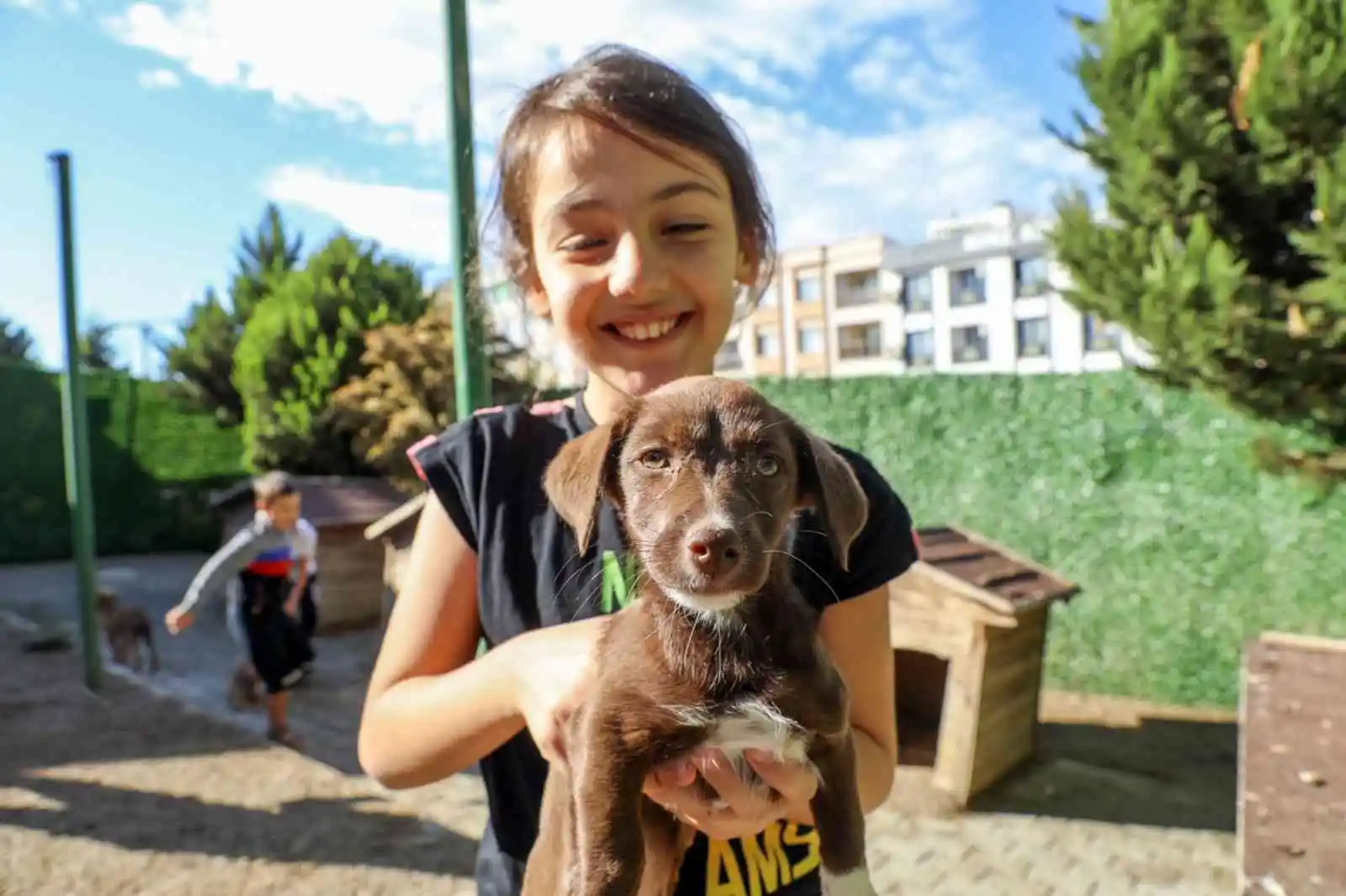 Buca Belediyesi, bir yılda 12 bin can dostuna kucak açtı
