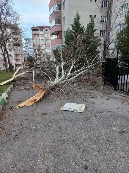 Bursa’da şiddetli lodosun etkisi sürüyor
