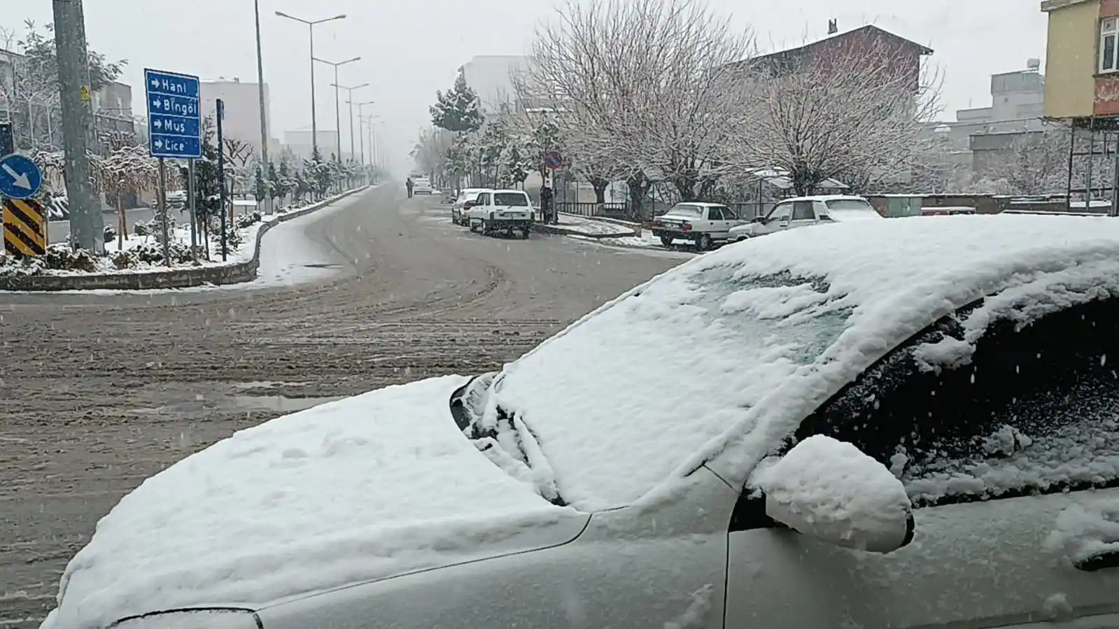 Diyarbakır kırsalı beyaza örtüyle kaplandı
