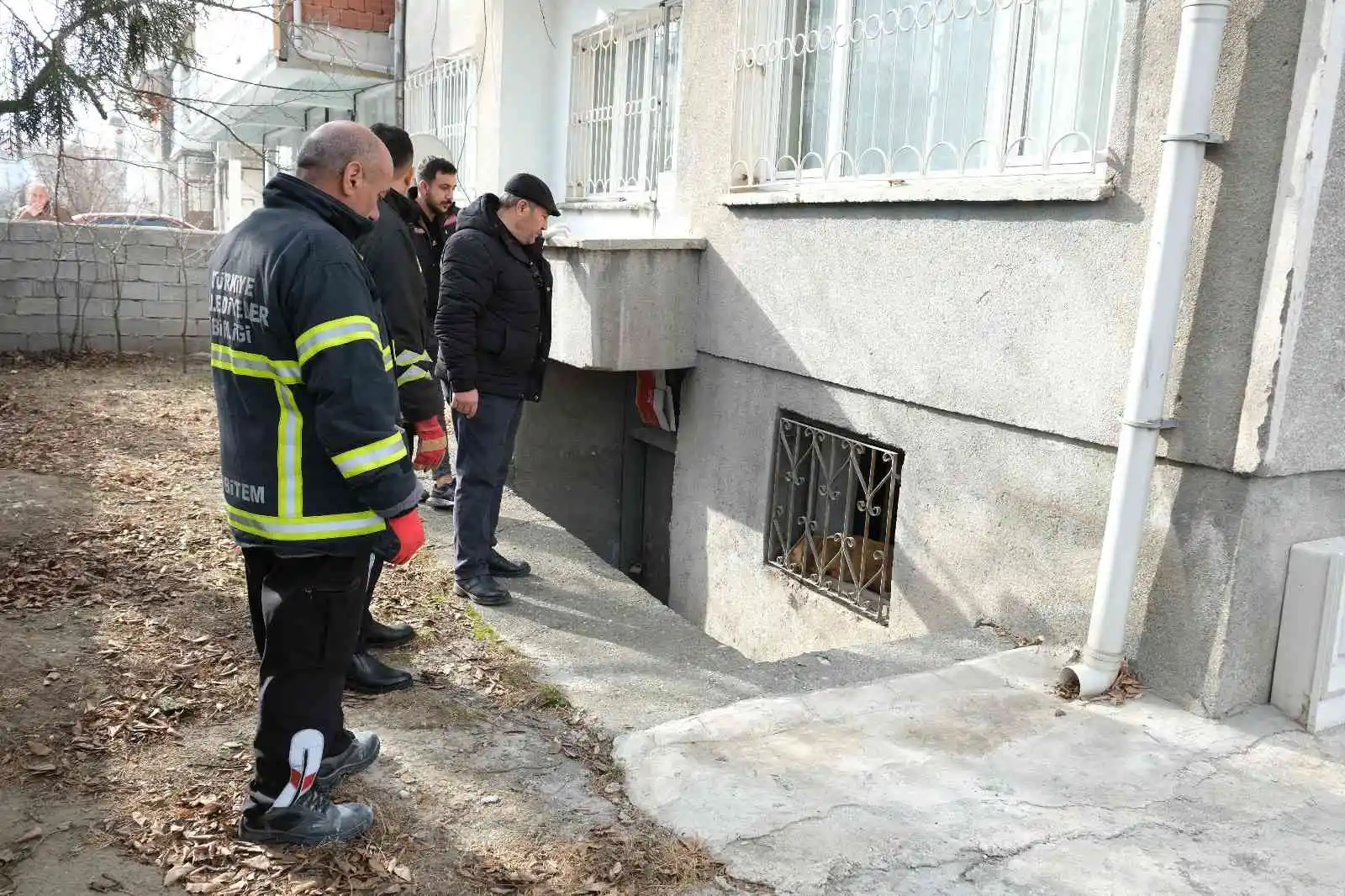 Evin bodrumunda mahsur kalan köpek itfaiye ekiplerince kurtarıldı
