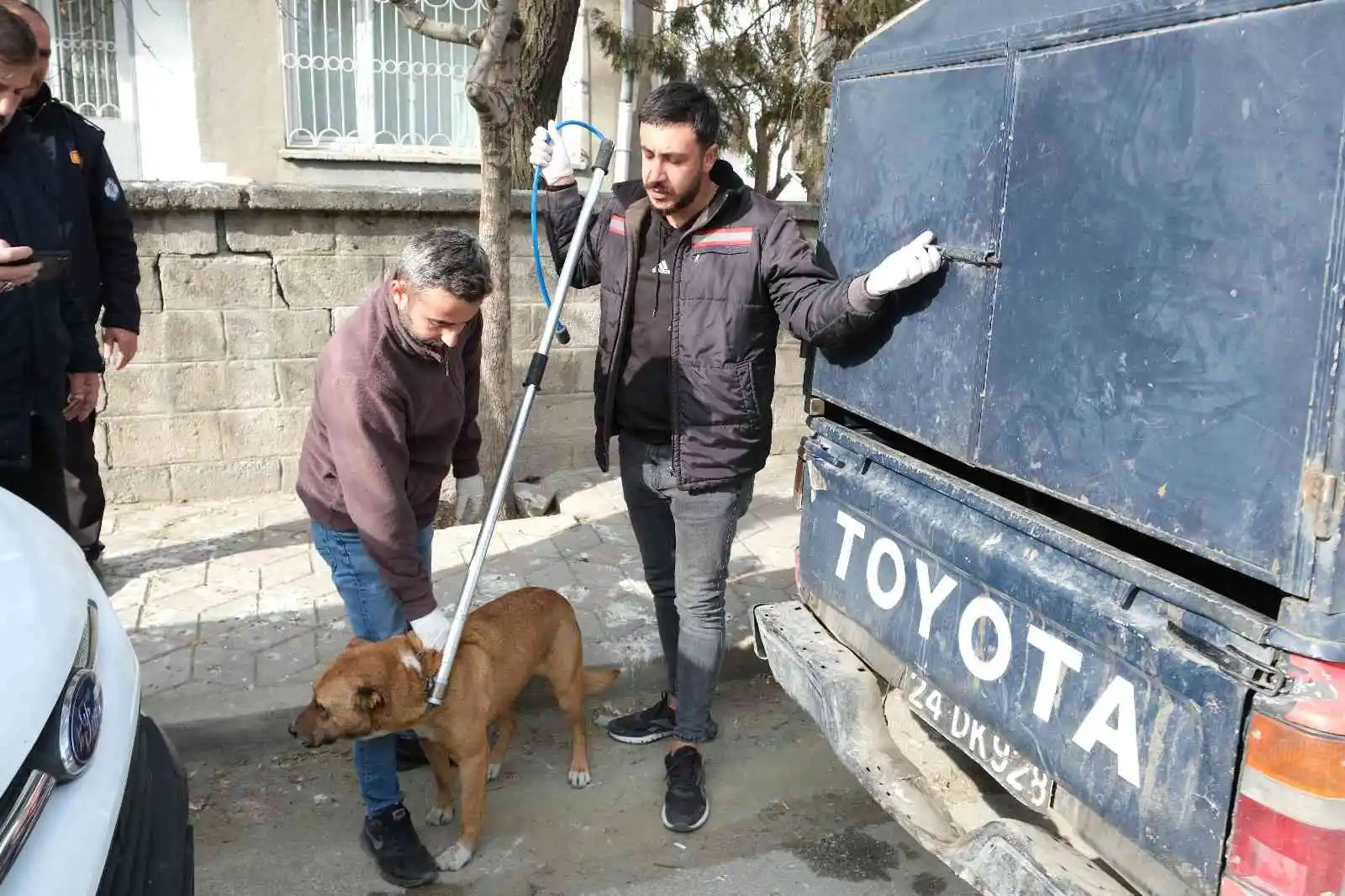 Evin bodrumunda mahsur kalan köpek itfaiye ekiplerince kurtarıldı
