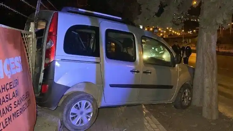 Hafif ticari otomobil ağaçların arasına daldı: 1 yaralı
