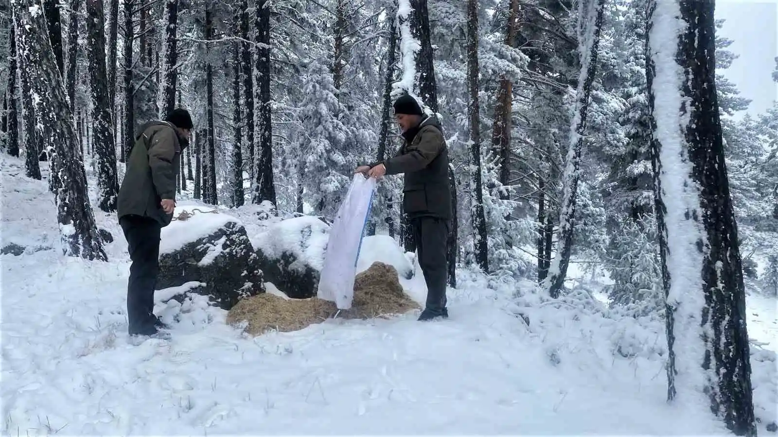 Kütahya OBM’den yaban hayvanlarına yem desteği
