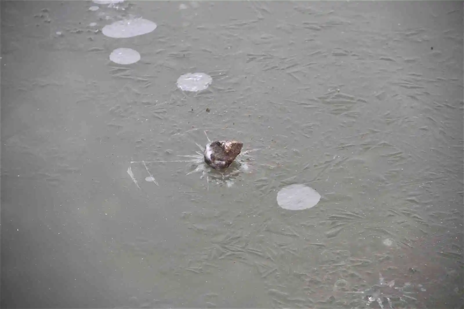 Meteorolojiden buzlanma ve don uyarısı