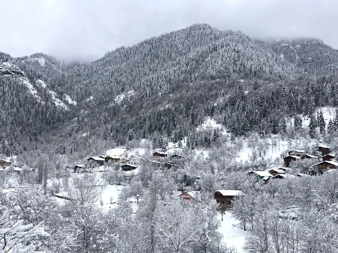 “Sakin Şehir” Şavşat’tan kartpostallık kar manzaraları
