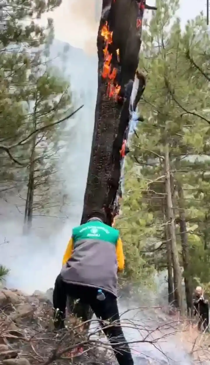 Sarp arazide devam eden yangın kısmen kontrol altına alındı
