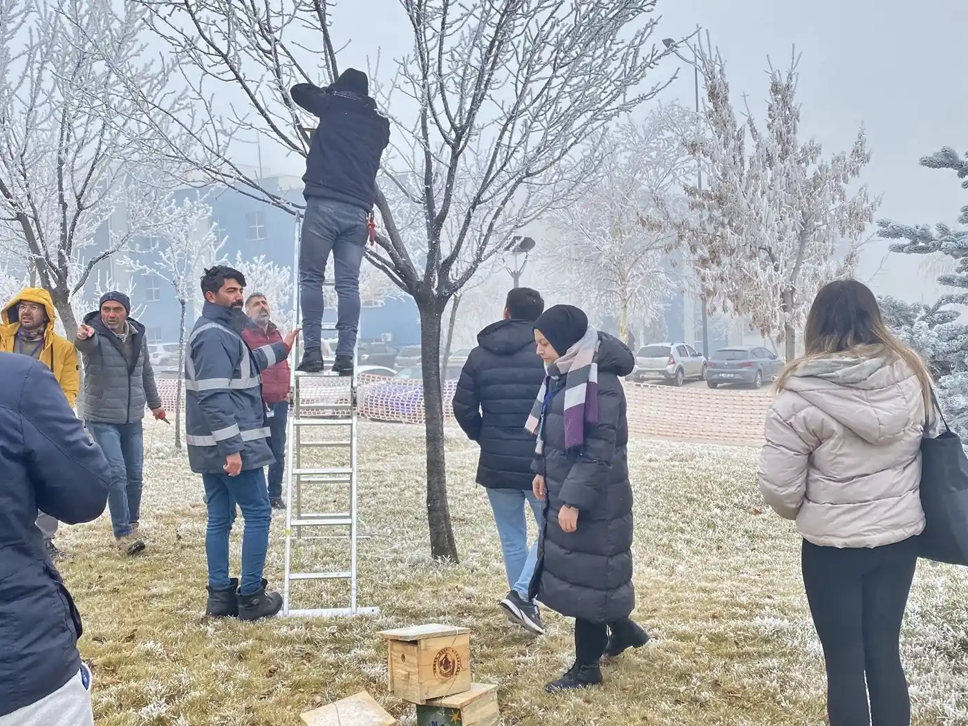 Üniversite öğrencileri kampüsü kuş evleriyle donattı
