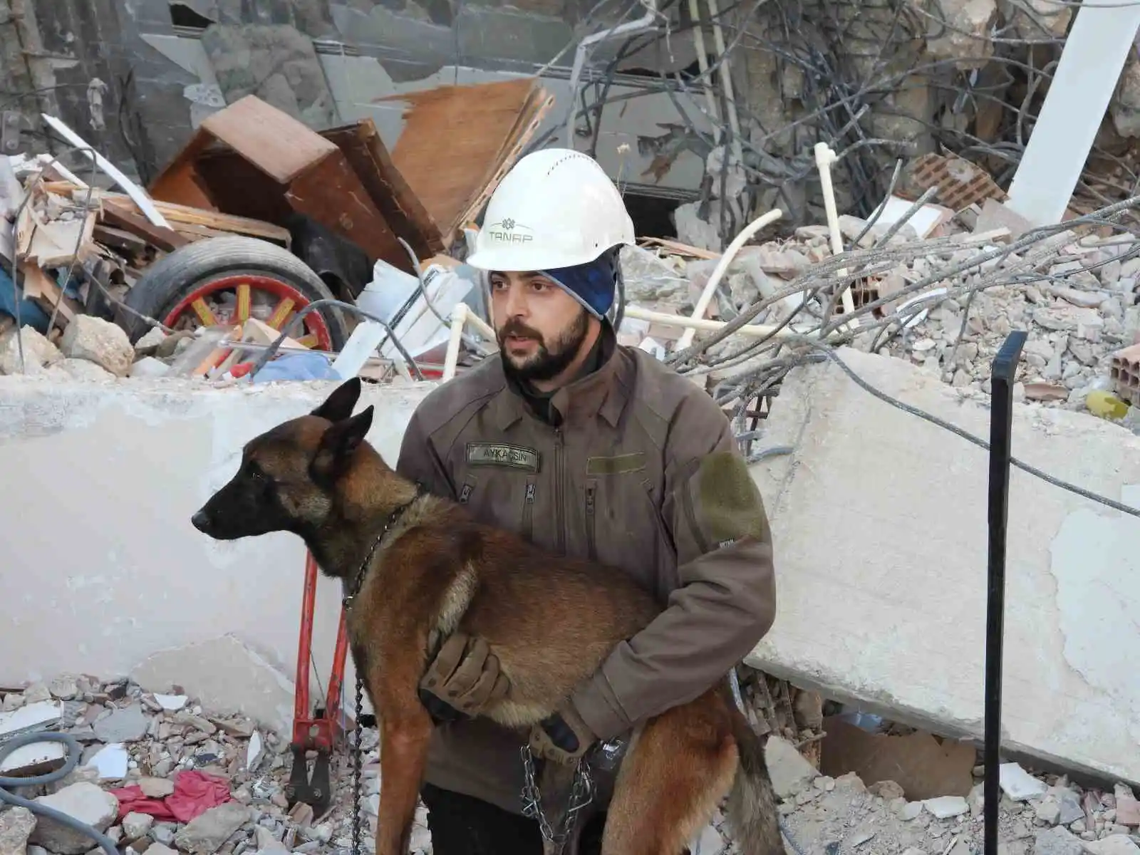 Arama kurtarma köpeği Tetik tek başına Samandağ’da 15 can kurtardı
