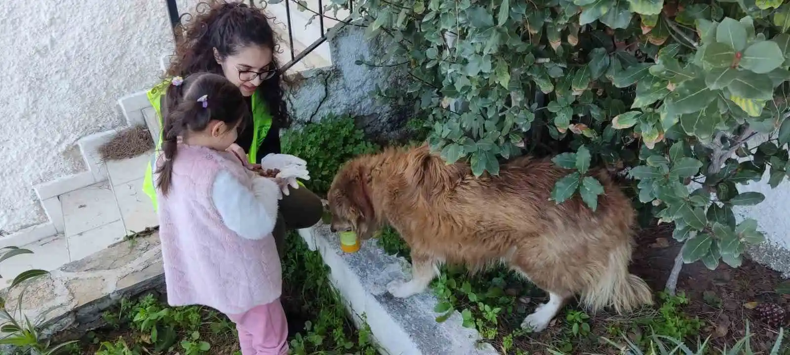 Depremden kurtulan Ege’nin hayvan sevgisi
