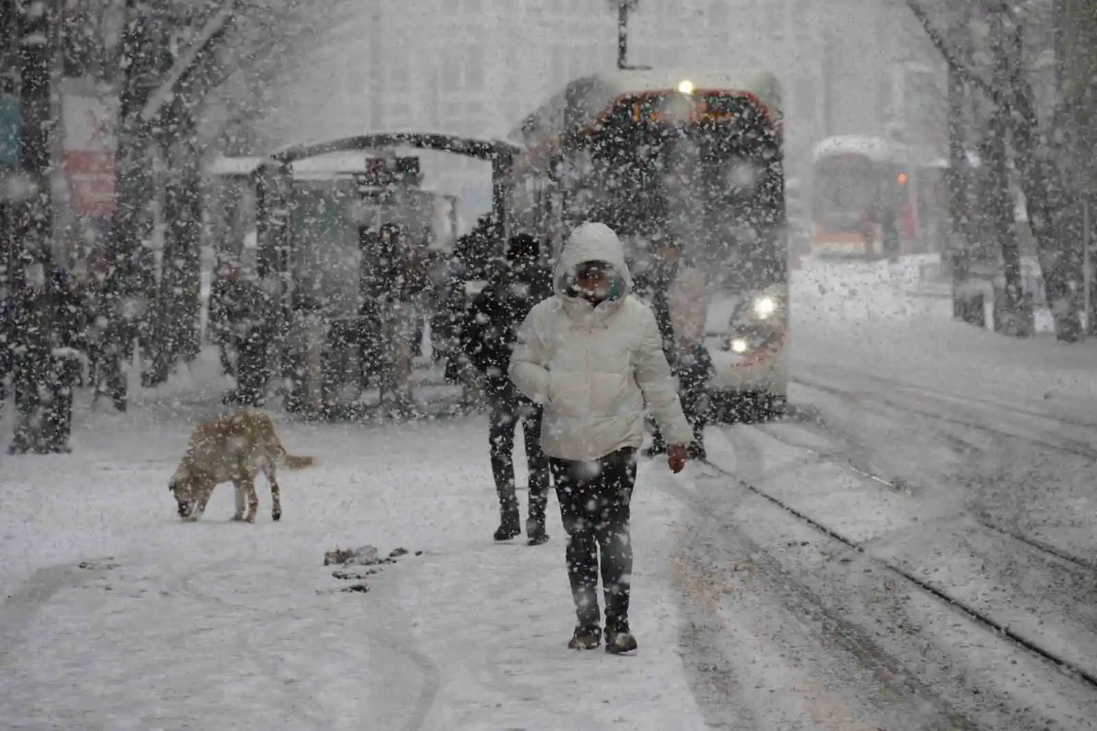 Engelli ve hamile kamu personeline kar izni
