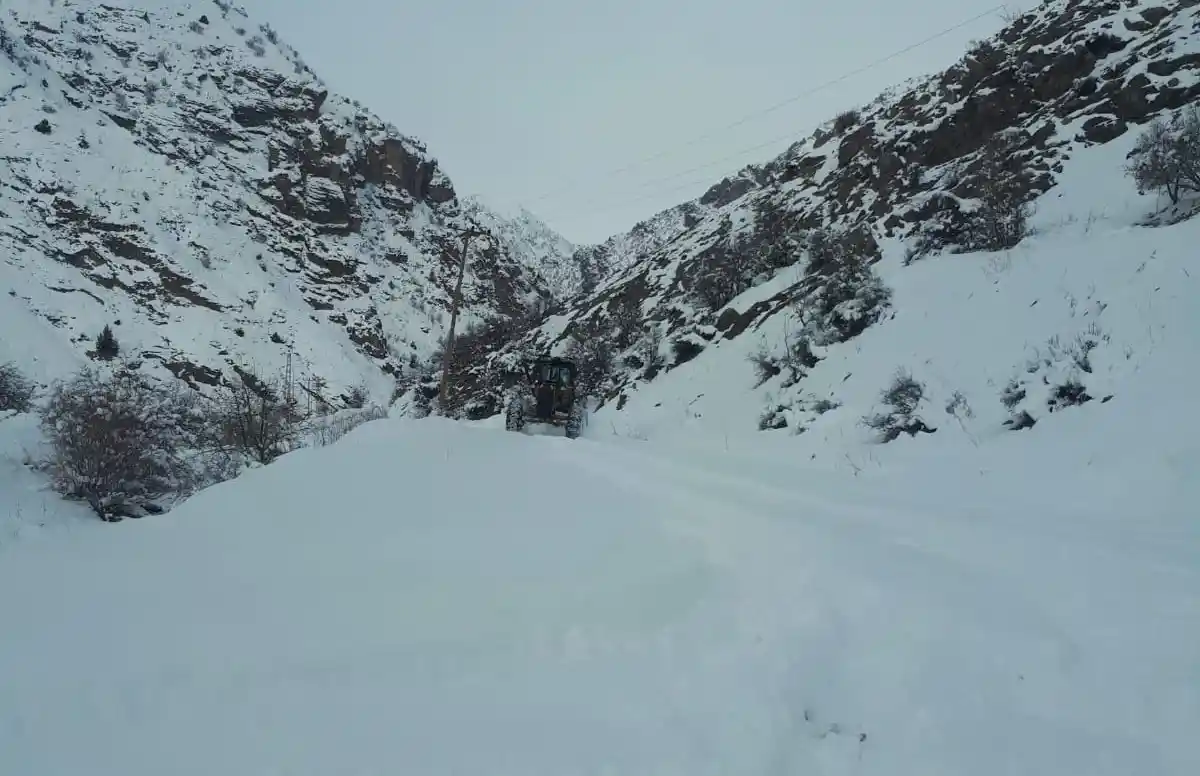 Hakkari'de 59 köy ve 181 mezra yolu kapandı
