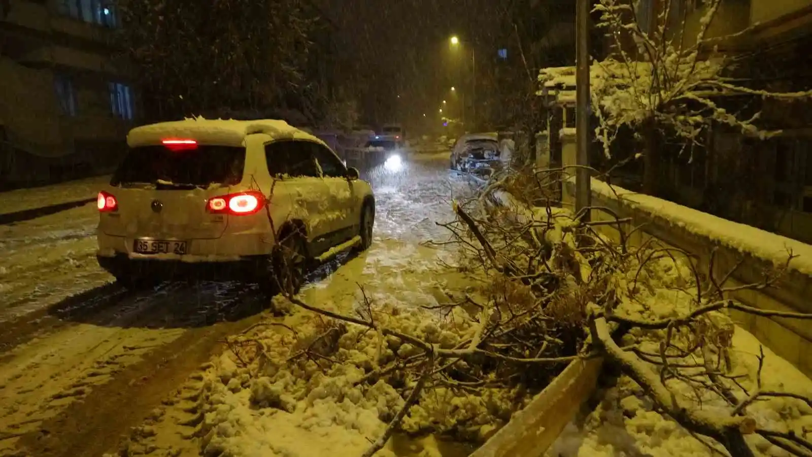 Malatya’da yoğun kar yağışı ağaçları devirdi
