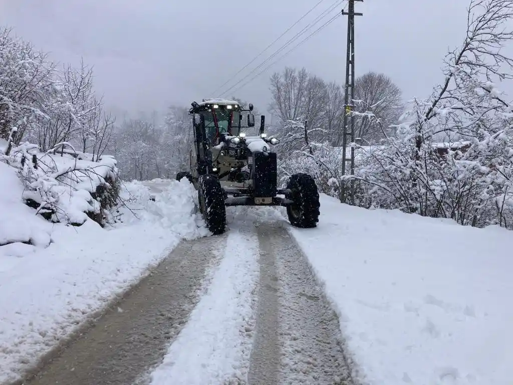 Ordu'da karla mücadele başladı
