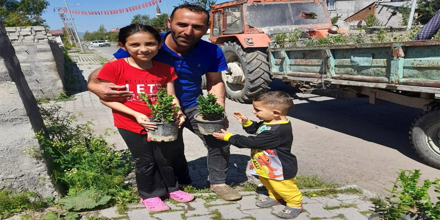 Selim Belediyesi Ücretsiz Çiçek Dağıtımı yaptı