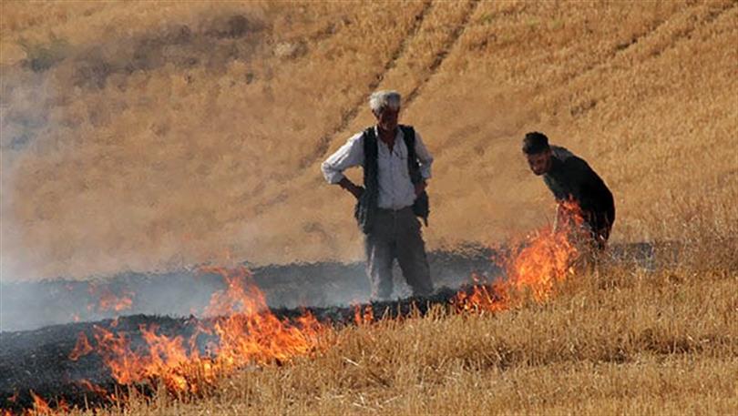 Kars Valiliği Uyardı; " Anız Yakmak Suçtur "