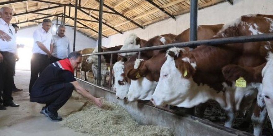 Kars Tarım İl Müdürü Enver Aydın, Kağızman'da 