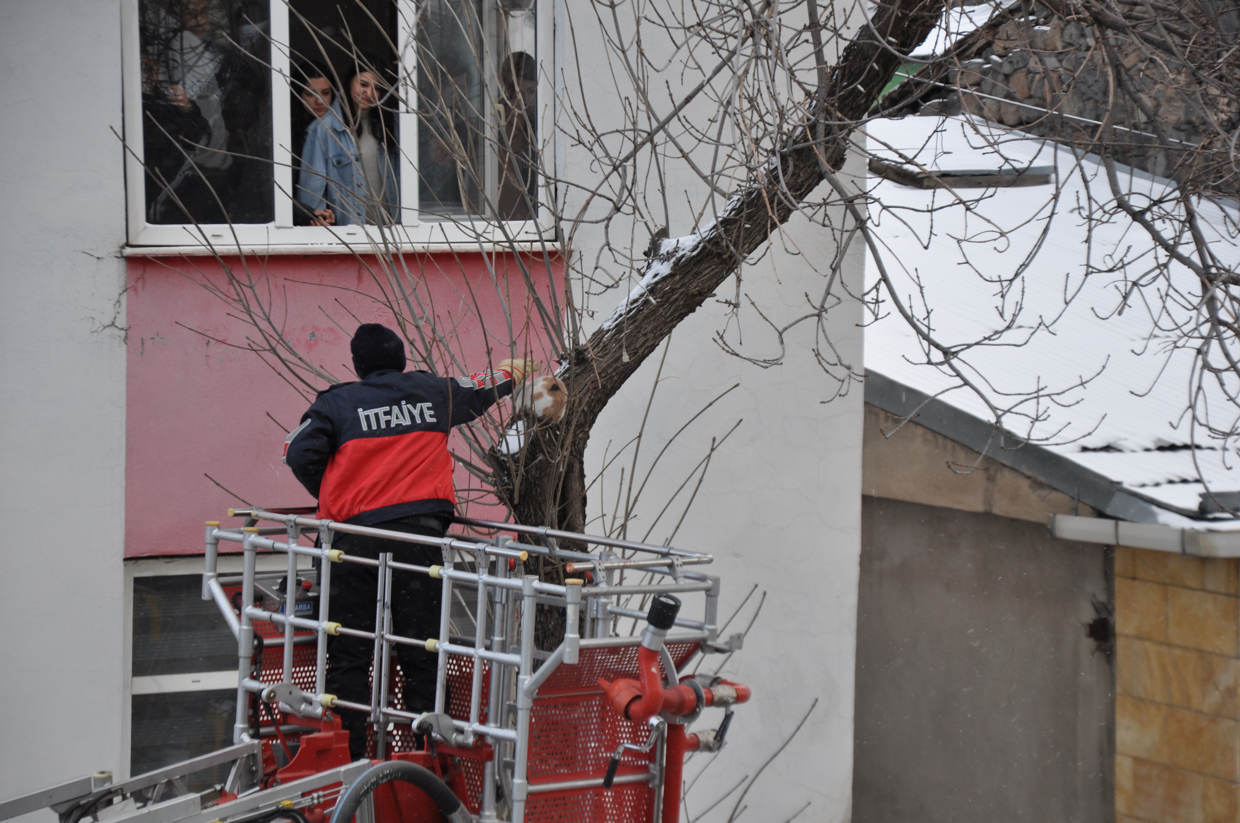 Kars'ta ağaçta mahsur kalan kediyi itfaiye kurtardı