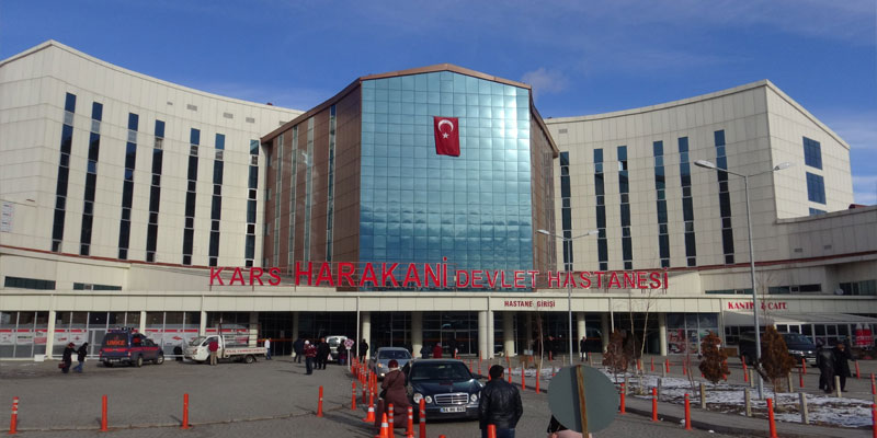 Kars'ta bir yılda 878 bin hastaya bakıldı