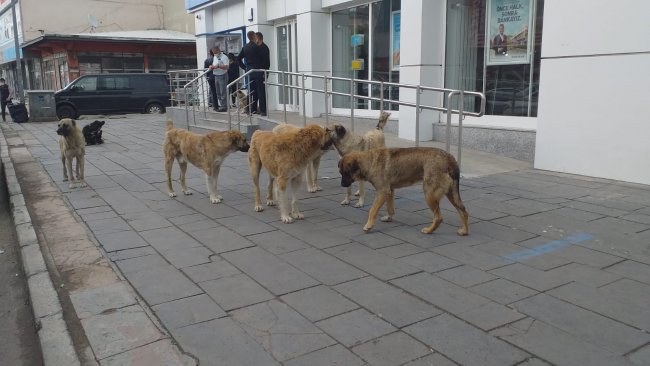 Bakanlıktan Belediyelere Son Uyarı...